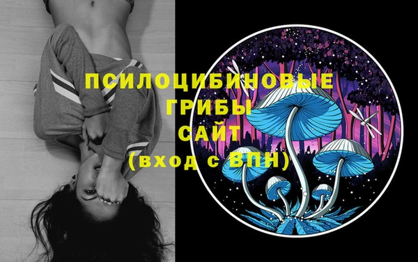 метадон Аркадак