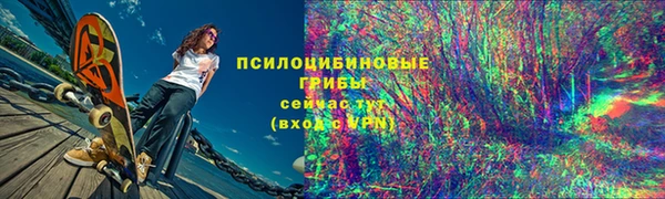 мет Арсеньев