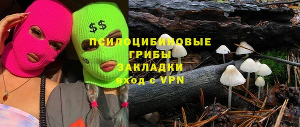 мет Арсеньев