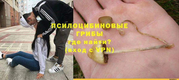метадон Аркадак