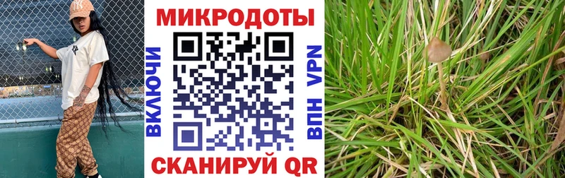 Галлюциногенные грибы MAGIC MUSHROOMS  Нефтегорск 